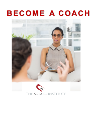Professional Business and Life Coaching: Ontological Framework Course